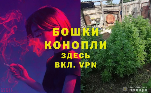 тгк Лагань