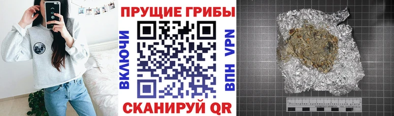 Купить закладки  Макарьев  Галлюциногенные грибы Psilocybine cubensis 